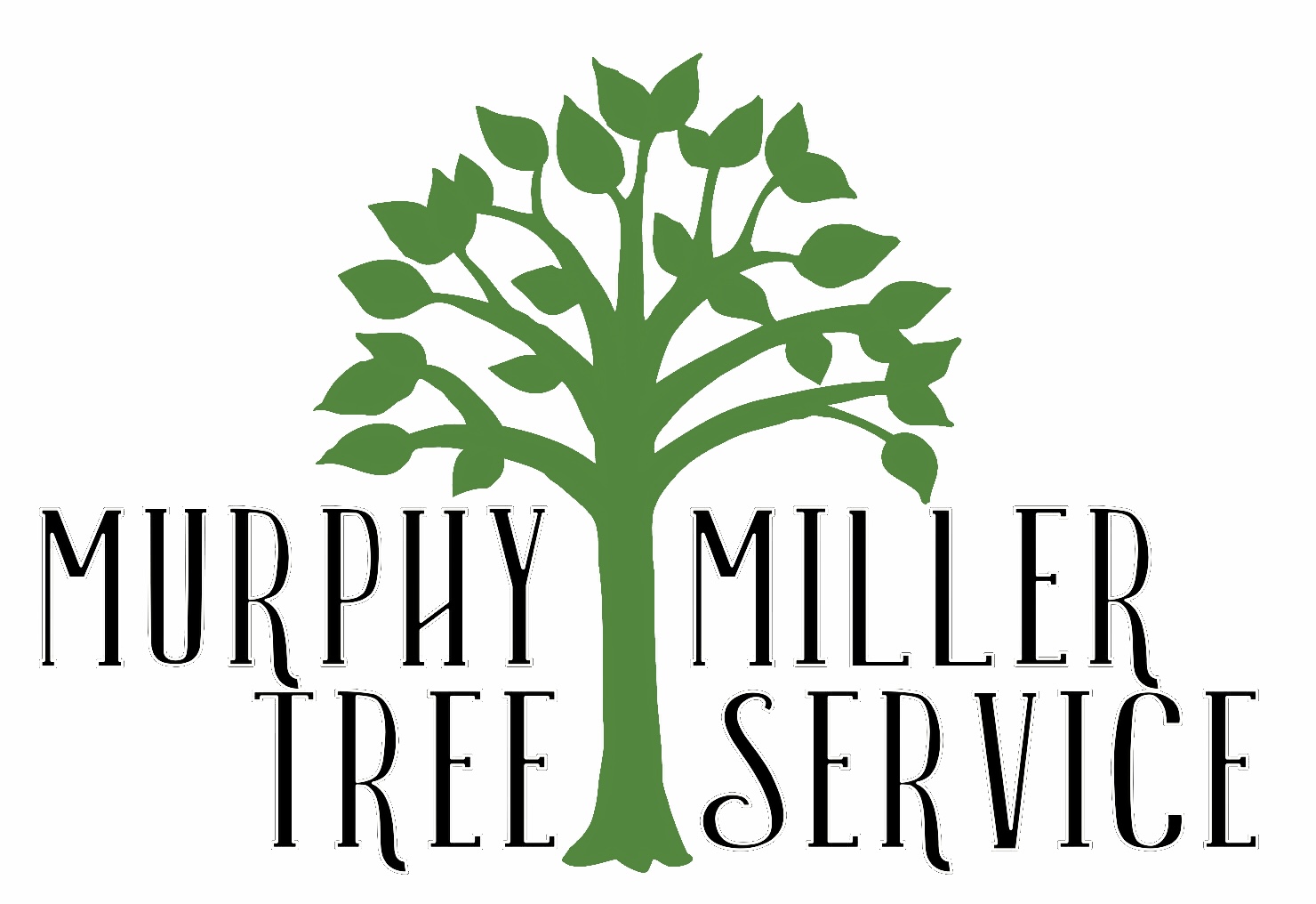 Murphy Miller Tree Service